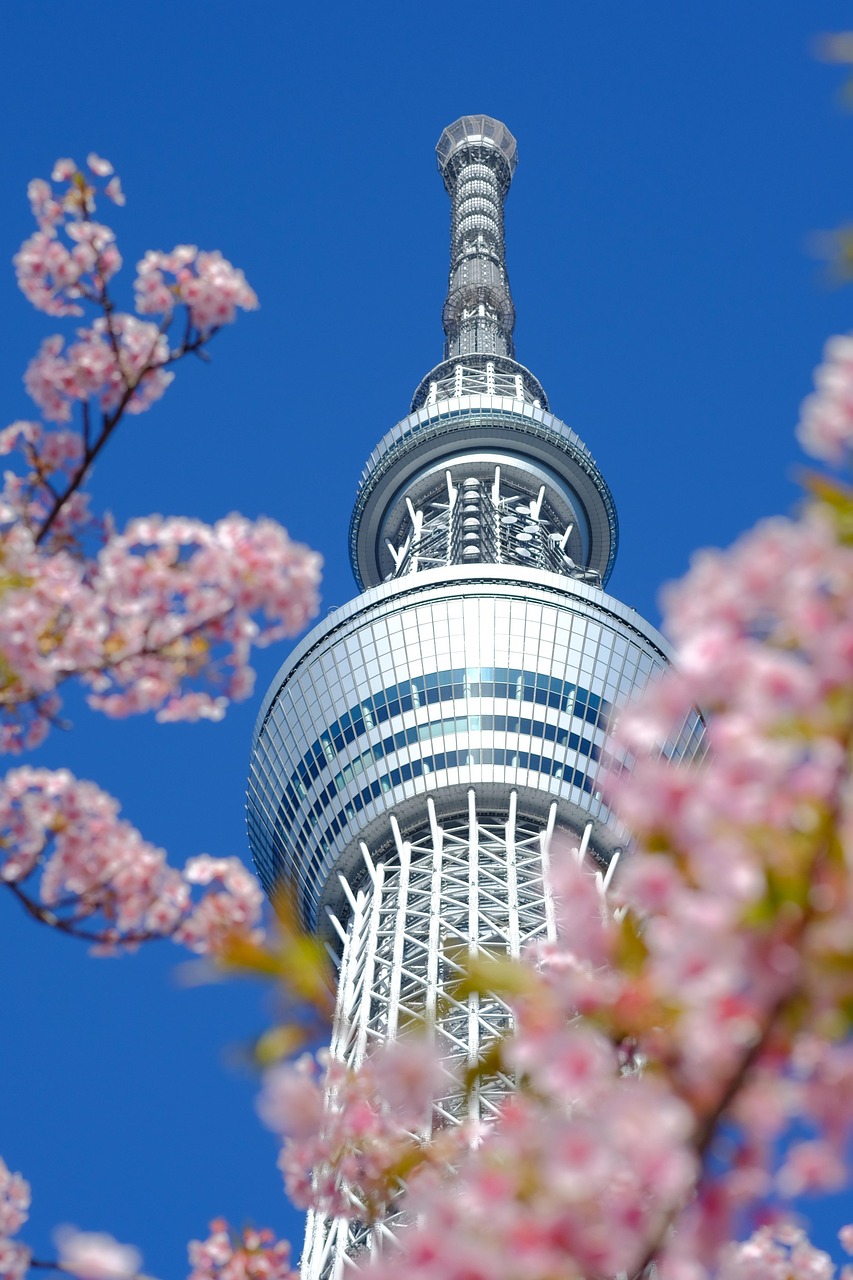 結婚相談サービスの活用法